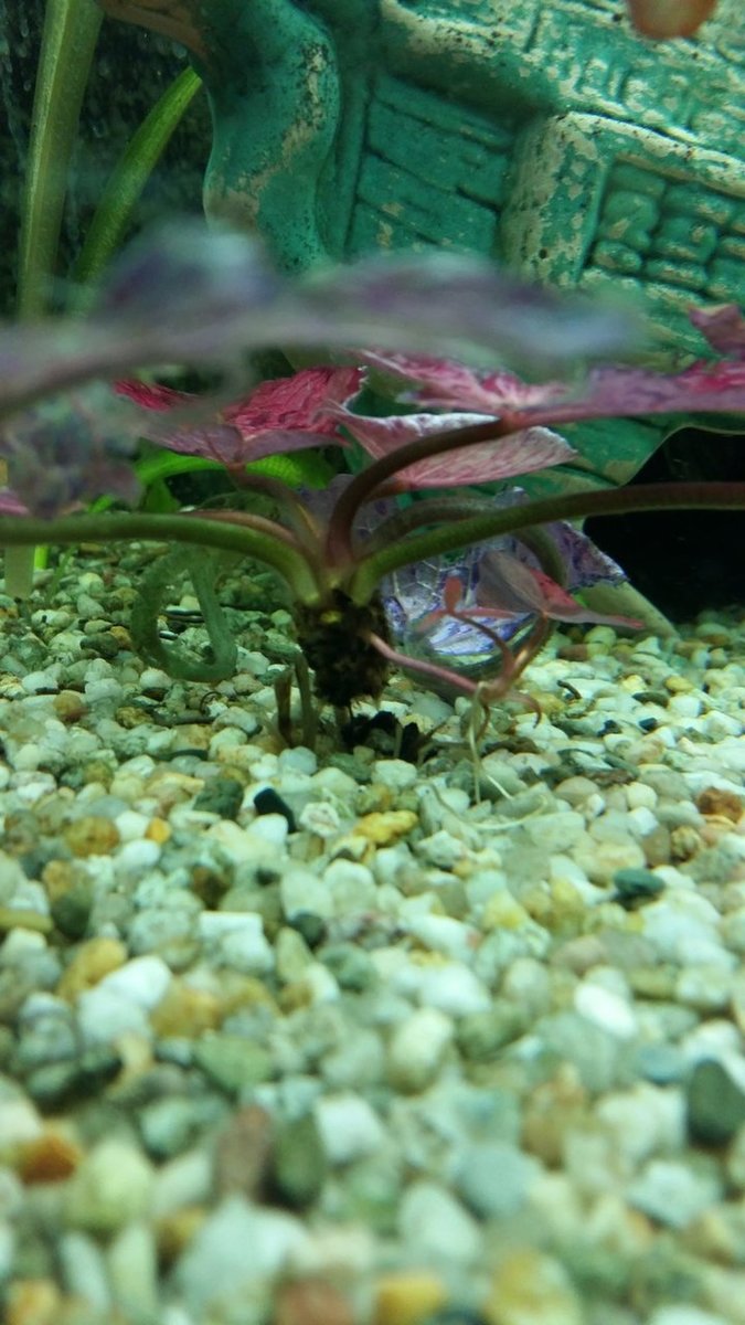 20180513_170727.jpg
