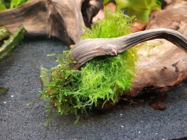 20180516_115631.jpg