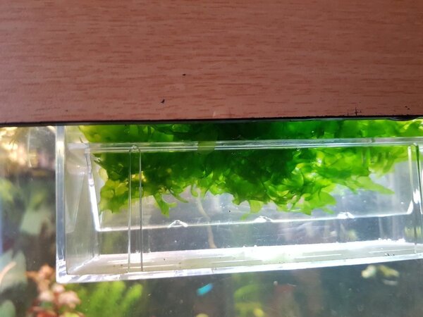 20180516_115759.jpg