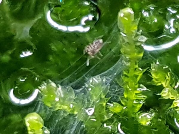20180516_191026.jpg