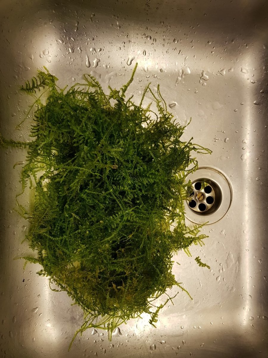 20180516_192551.jpg