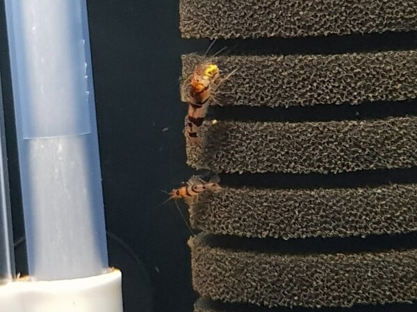 20180519_173403.jpg