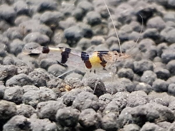 20180519_195738.jpg