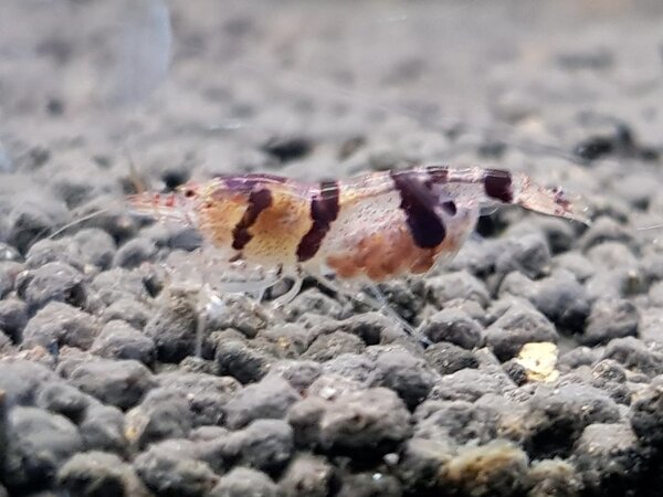 20180519_215547.jpg