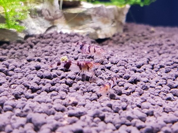 20180519_215858.jpg