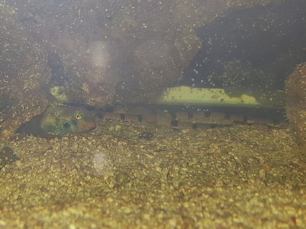 20180519_234740.jpg