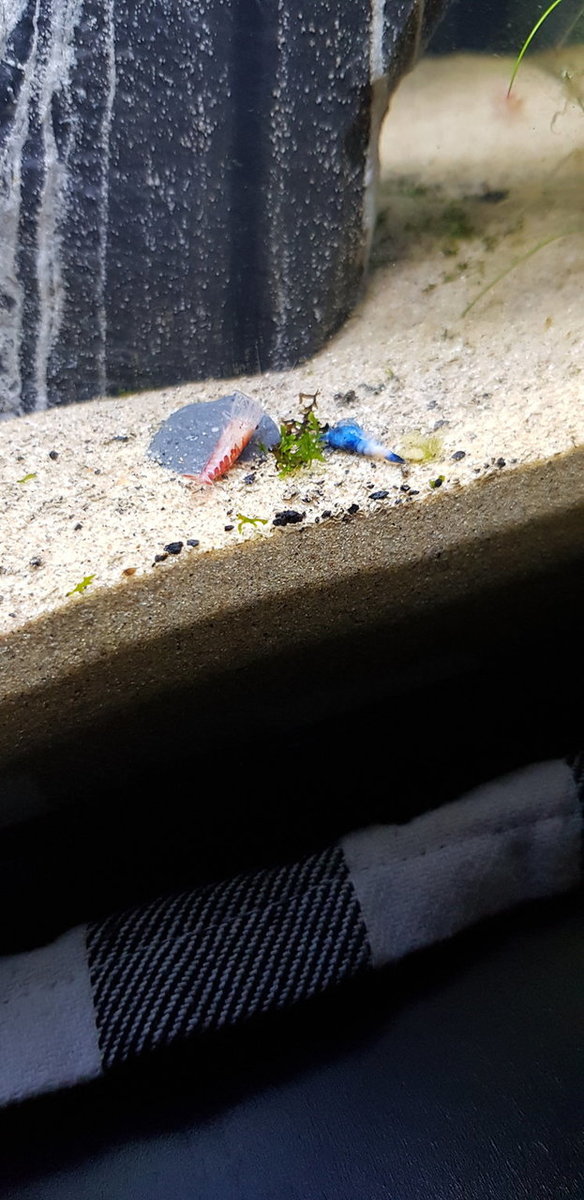20180522_085118.jpg