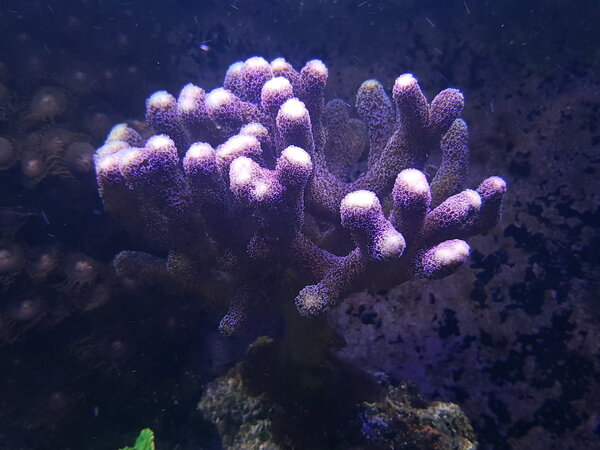 20180530_191337.jpg