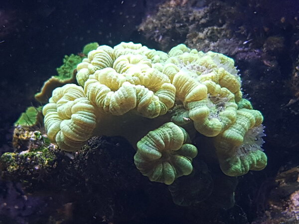 20180530_191640.jpg