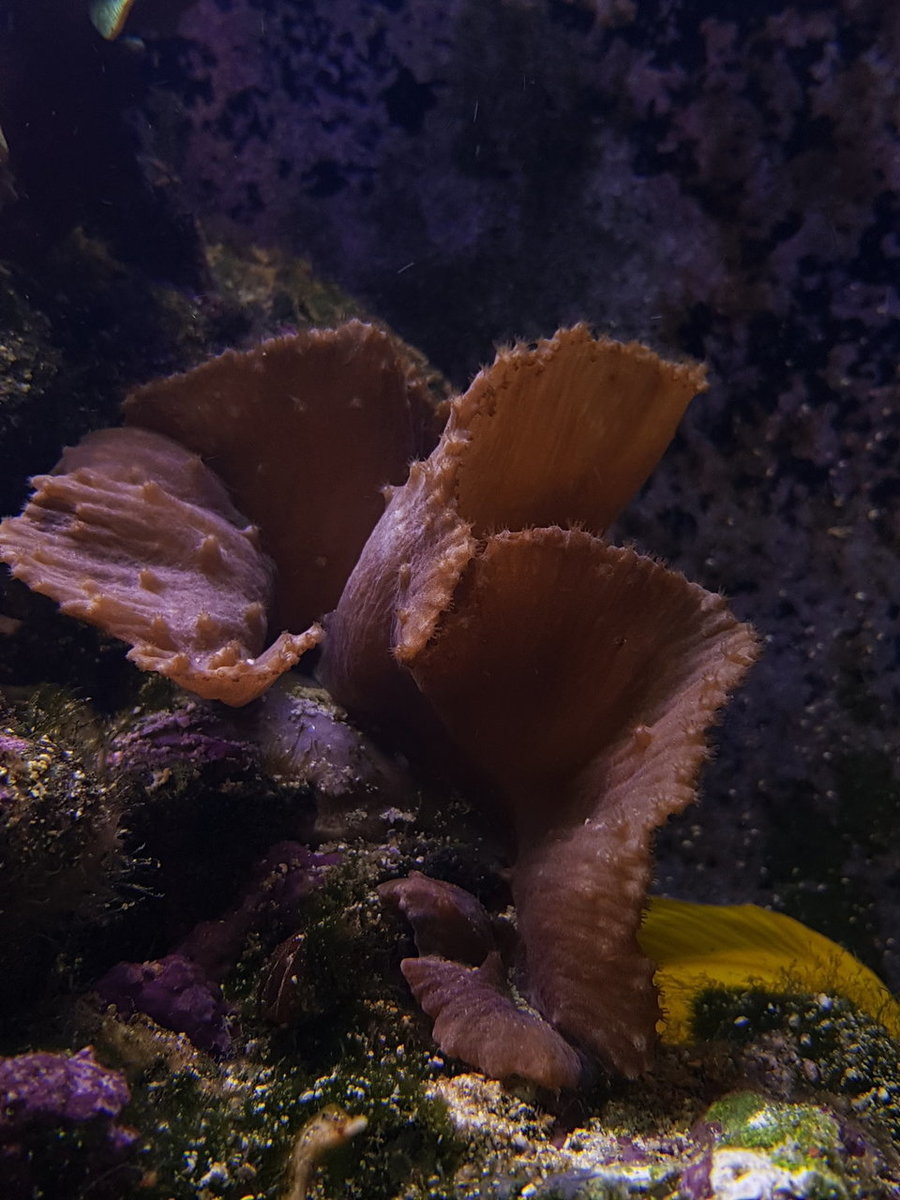 20180530_191914.jpg