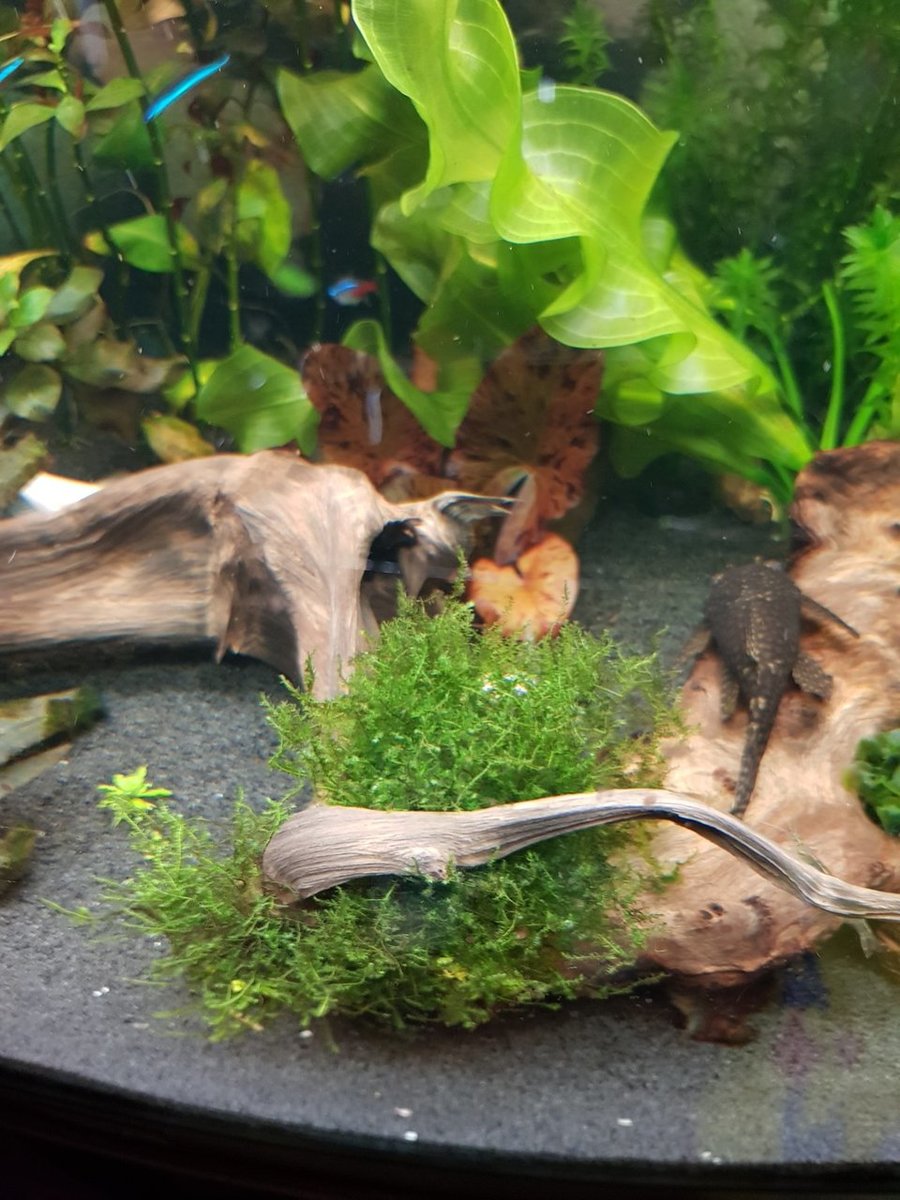20180604_222311.jpg