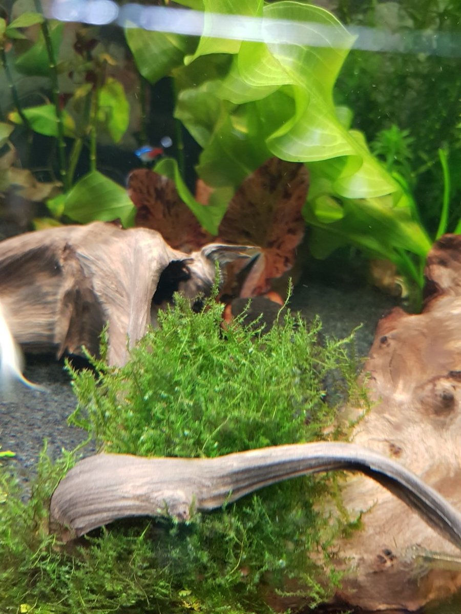 20180604_222316.jpg