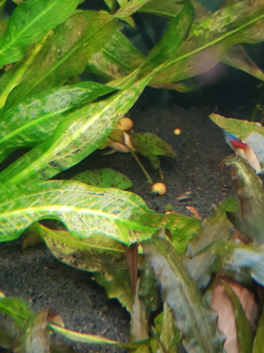 20180604_222325.jpg
