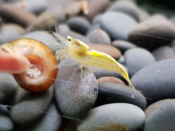 20180606_220906.jpg