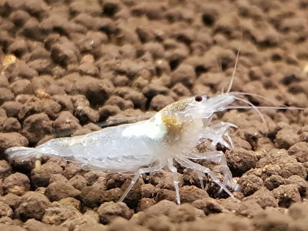 20180606_221154.jpg