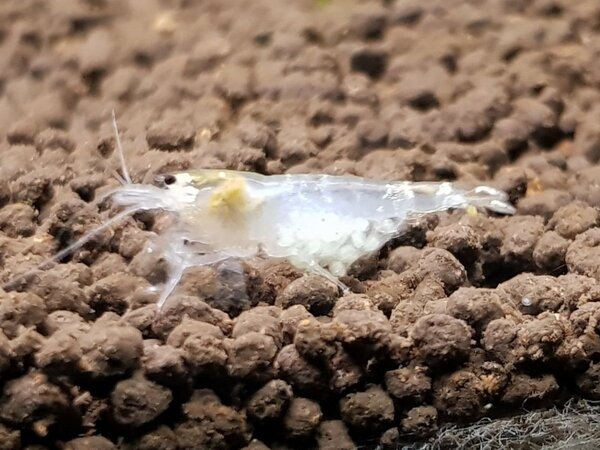 20180606_221318.jpg