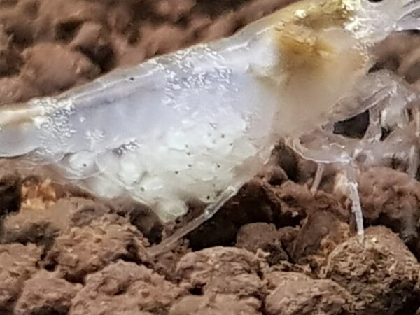 20180606_221325.jpg