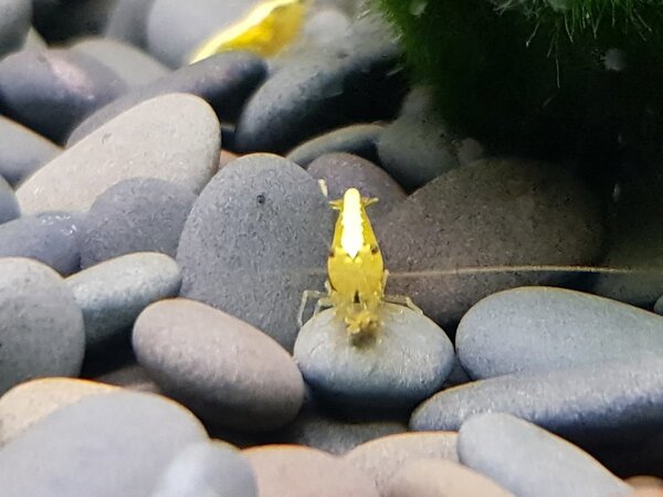 20180607_212158.jpg