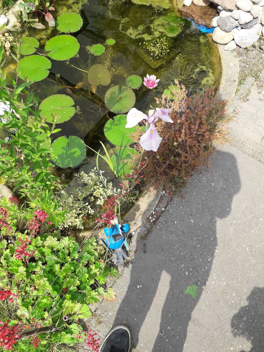 20180610_115608.jpg