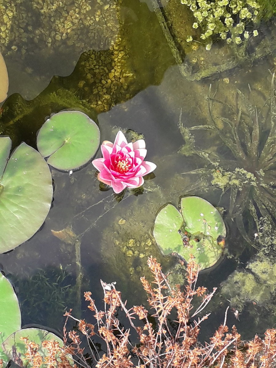 20180610_115612.jpg