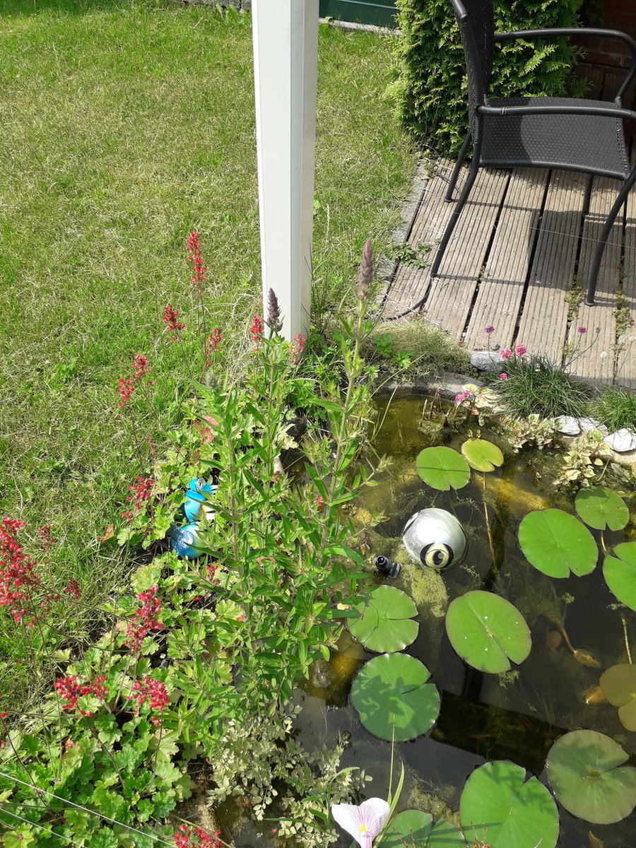 20180610_115619.jpg