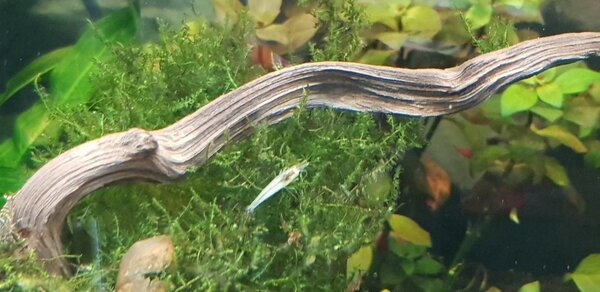20180611_105421.jpg
