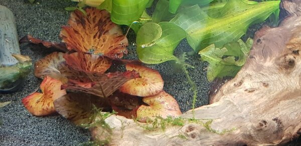 20180611_105431.jpg