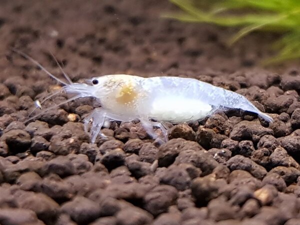 20180618_211007.jpg