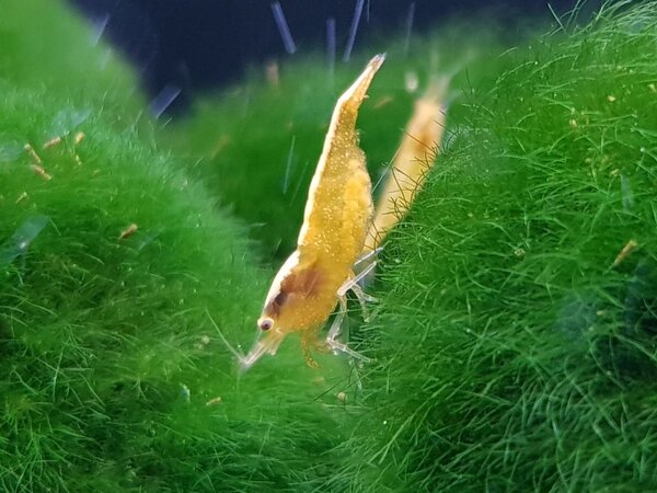 20180620_174737.jpg