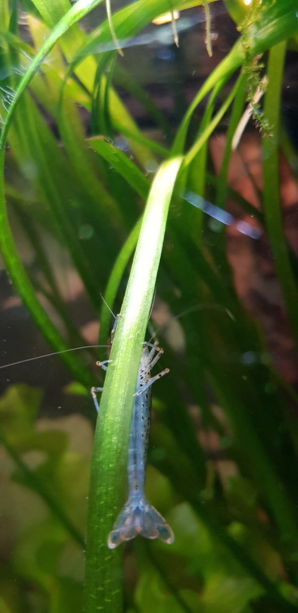 20180623_212957.jpg