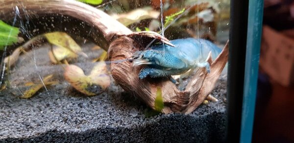 20180623_215736.jpg