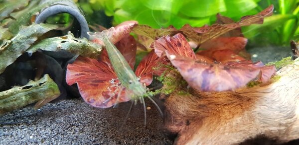 20180623_220138.jpg