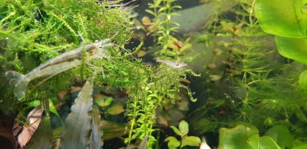 20180623_220327.jpg