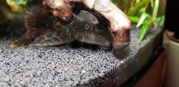 20180623_220801.jpg