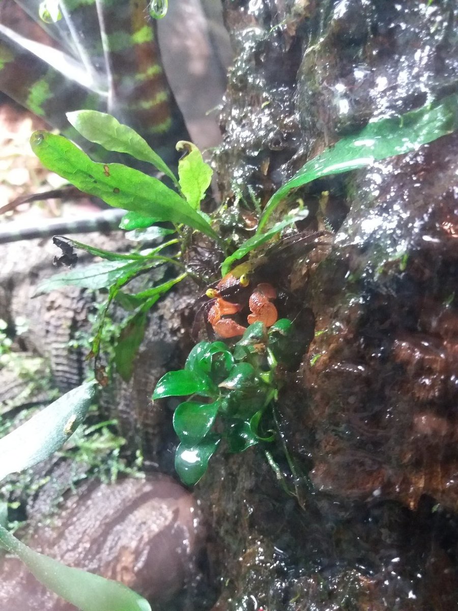 20180701_105720.jpg