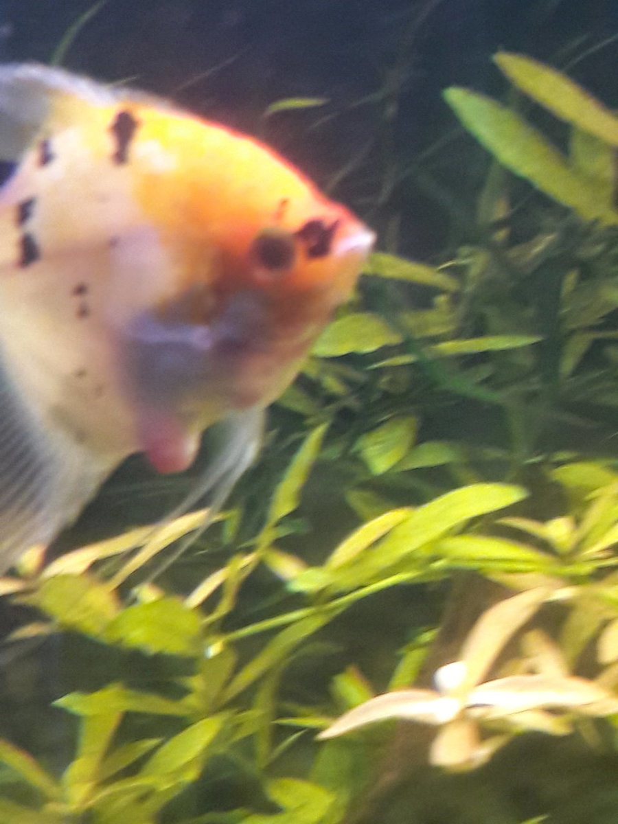 20180701_144509.jpg