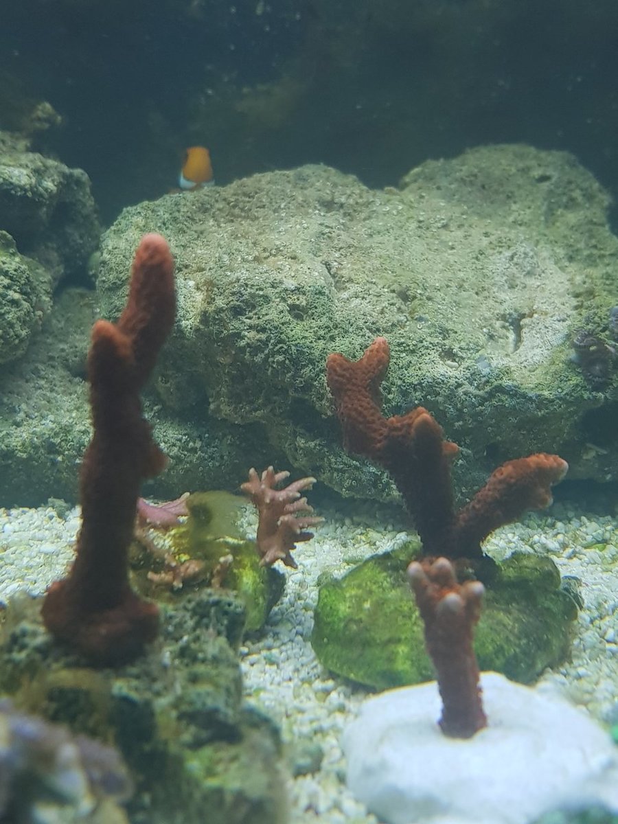20180703_141227.jpg