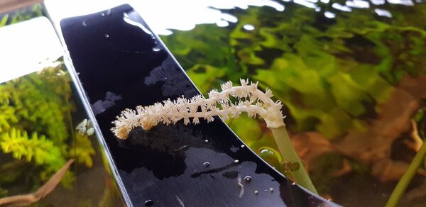 20180704_104711.jpg