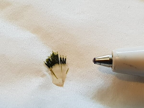 20180708_105129.jpg
