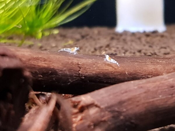 20180710_170710.jpg