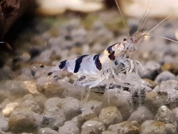 20180710_170931.jpg