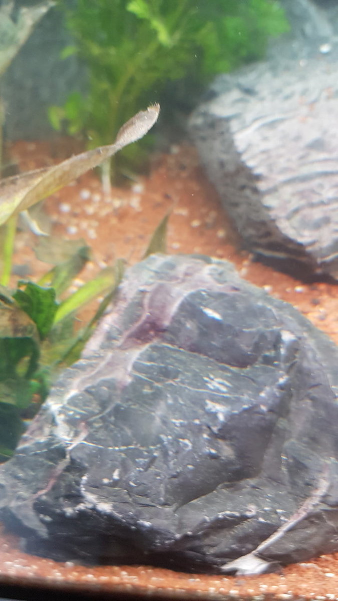 20180713_205709.jpg