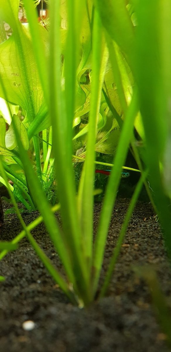 20180715_110408.jpg
