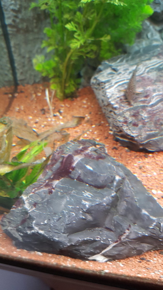 20180720_211957.jpg