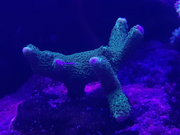 20180727_224403.jpg