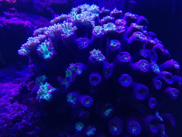 20180727_224421.jpg
