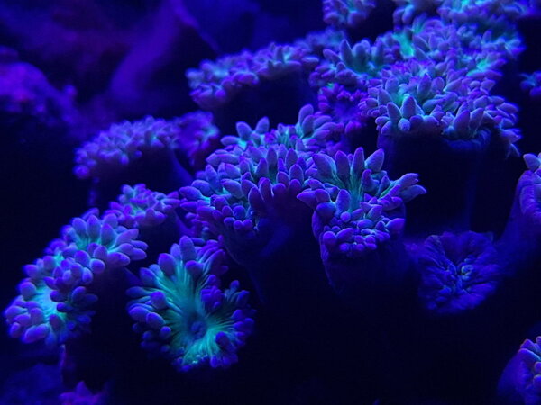 20180727_224436.jpg
