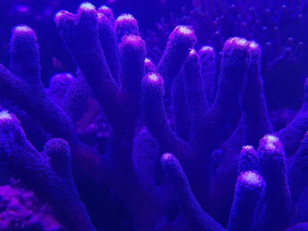 20180727_224619.jpg