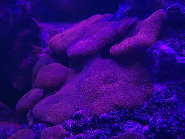 20180727_224641.jpg
