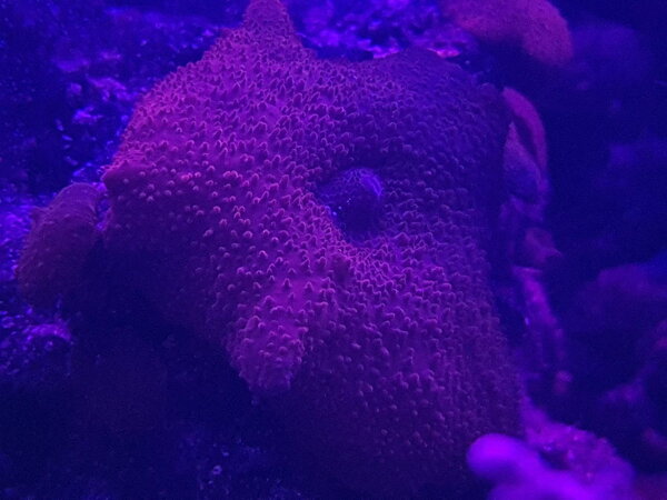 20180727_224712.jpg